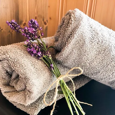 Appartamento Gemuetliche In Niederpoyritz Mit Garten By Interhome Dresda